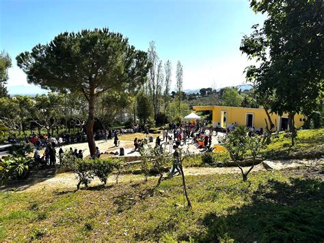 Alcamo Il Bando Per La Gestione Del Parco Suburbano