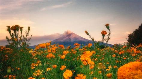 Destinos Imperdibles Para Celebrar El D A De Muertos En M Xico Escapada H