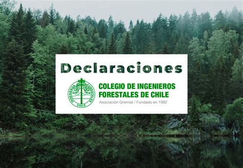 Declaraci N P Blica Sobre La Necesidad De Impulsar El Manejo Forestal