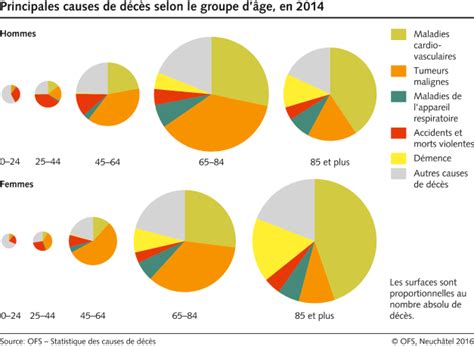 Principales Causes De Décès Selon Le Groupe Dâge 2014 Diagramme