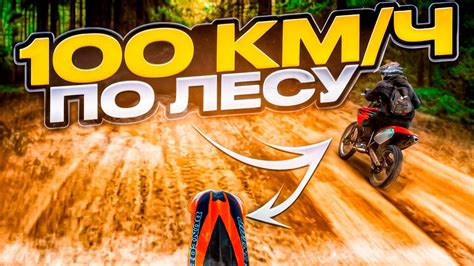 100 КМ/Ч ПО ЛЕСУ НА ПИТБАЙКЕ/ПОЛНЫЙ ГАЗ НА КТМ 85sx #ktm #питбайк # ...