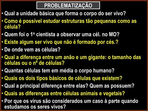 PDF PROBLEMATIZAÇÃO Qual a unidade básica que forma o PDF fileQual