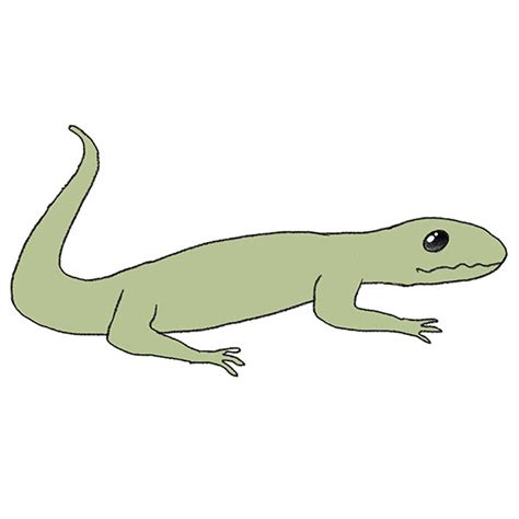 How to Draw a Reptile - Easy Drawing Tutorial For Kids