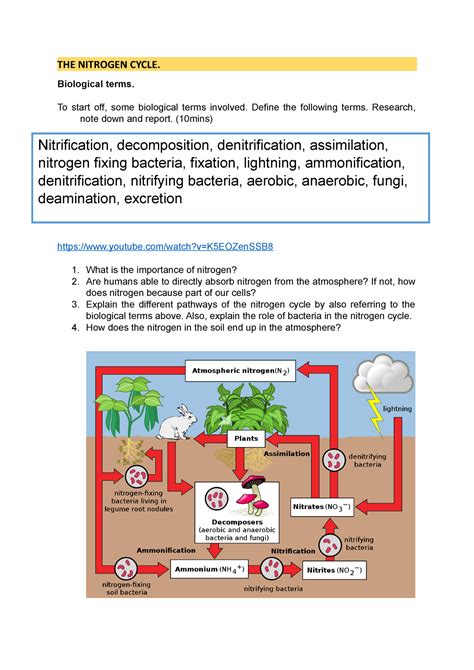 Nitrogen Cycle 10 Nitro Notes The Nitrogen Cycle Biological Terms