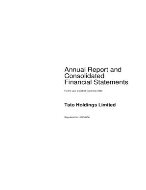 Fillable Online Statement Of Audited Consolidated Financial Results For