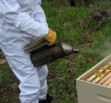 How to Light a Bee Smoker - Mama’s Homestead