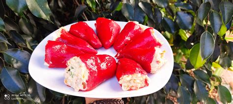 Luzmary Y Sus Recetas Caseras Pimientos Rellenos De Ensaladilla