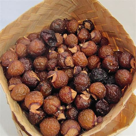 Jual Buah Lerak Sabun Klerek Detergen Alami Ramah Lingkungan Soapnut