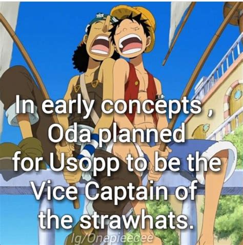 Best One Piece Facts Images On Pinterest Fun Facts Funny Facts