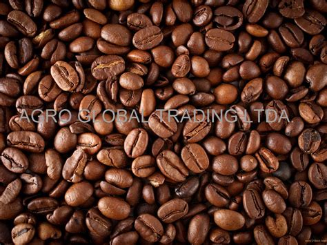 Brazilian Arabica Green Coffee Beans,Brazil NL price supplier - 21food