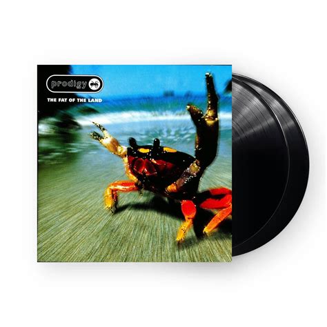 The Prodigy - The Fat Of The Land 2xLP (Black Vinyl) – Plastic Stone ...