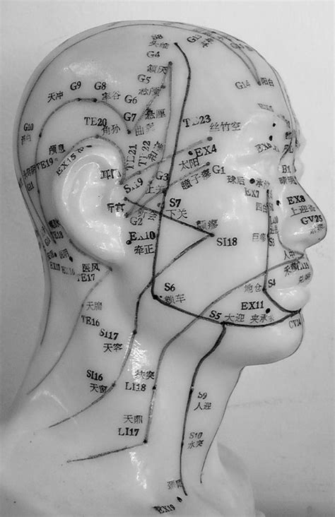 Clinic Acupressure Treatment Acupuncture Acupuncture Points