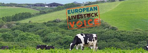 European Livestock Voice Una Lanza A Favor Del Sector Ganadero