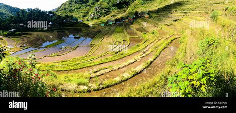 Batad Rice Terraces Banaue Ifugao Philippines Stock Photo Alamy