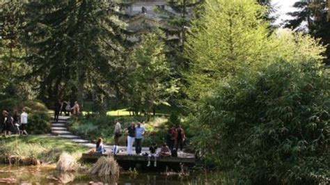 Der Botanische Garten Weihnachten Im Elsass