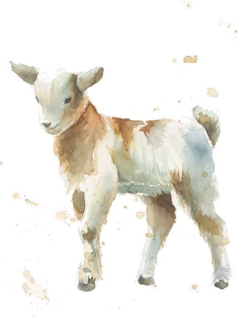 Watercolor Goat At Explore Collection Of