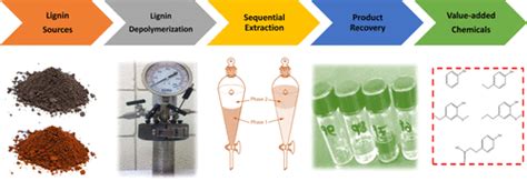 从热化学处理的生物精炼厂木质素中木质素衍生化合物的顺序提取和表征 Energy Fuels X MOL