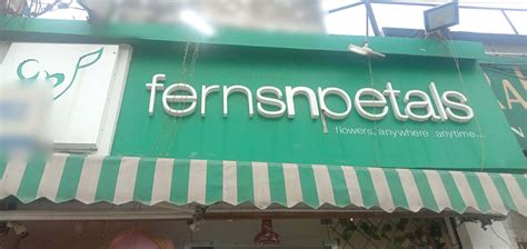 My Shop Ferns N Petals Gandhi Nagar Jammu Zomato