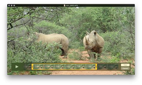 Use the Trim feature in QuickTime Movie Player app for quick and easy ...