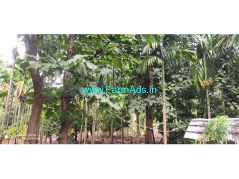 Acres Agricultural Land For Sale In Shimoga Soraba Shimoga