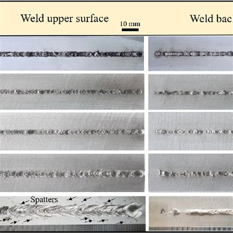 Macro Morphologies Of Longitudinal And Transverse Sections At Varied