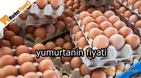 Yumurta Fiyatlar Marketfiyati Net