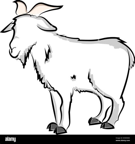 Goat Drawing Illustration Vector On White Background Stock Vector