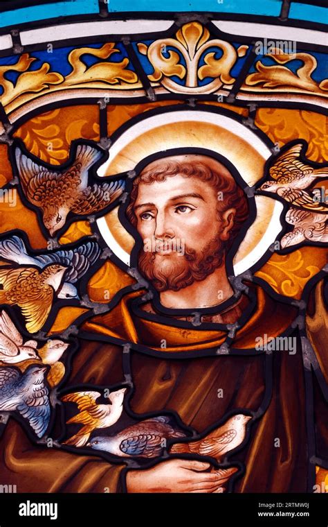 Thi Nghe Catholic Church Stained Glass Window Saint Francis Of Assissi Preaching To The Birds