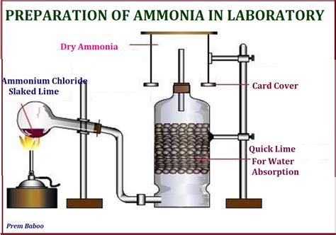 How To Prepare Ammonia In Laboratory？ Researchgate