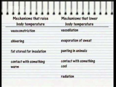 Principles Of Homeostasis Bbc Bitesize