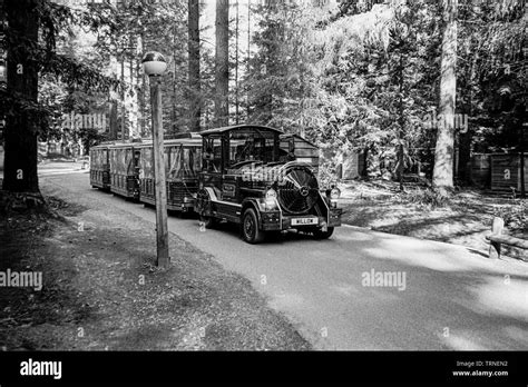 Land Train At Center Parcs Longleat Wiltshire England United