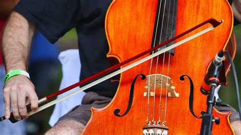 Learning Cello As An Adult Everything You Need To Know