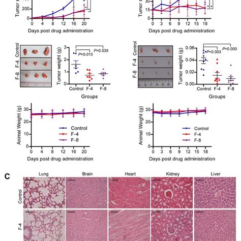 Anti Tumor Effect And Low Toxicity Of F806 In Escc Xenograft Tumor Download Scientific Diagram