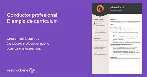 Ejemplos De Curriculum Vitae Conductor Profesional Plantilla Y 20