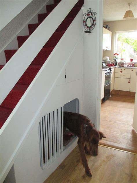 Best 5 Dog Door Under Stairs Roderick Zanini