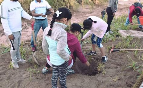 Arranca primera jornada estatal de reforestación en Huajuapan Diario