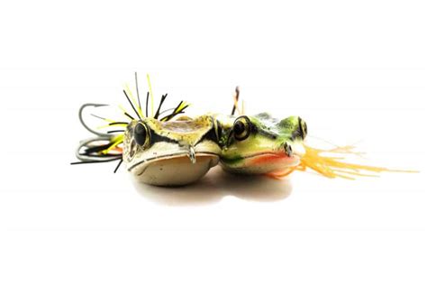 Best Frog Lures for Bass: 10 Topwater Gems