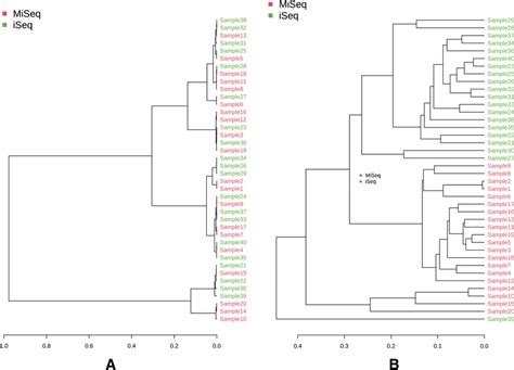 The Dendrograms Demonstrate The Concordance In Beta Diversity MiSeq And