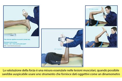 Lesioni Degli Hamstring Diagnosi E Valutazione Fisioterapia Genova