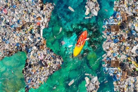 Microplastiche Cosa Sono Cause E Conseguenze Wise Society