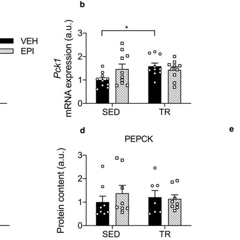 Hepatic Gene Expression And Protein Content Of Gluconeogenic Markers