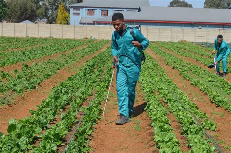 Plant Production – Ekurhuleni Agricultural College