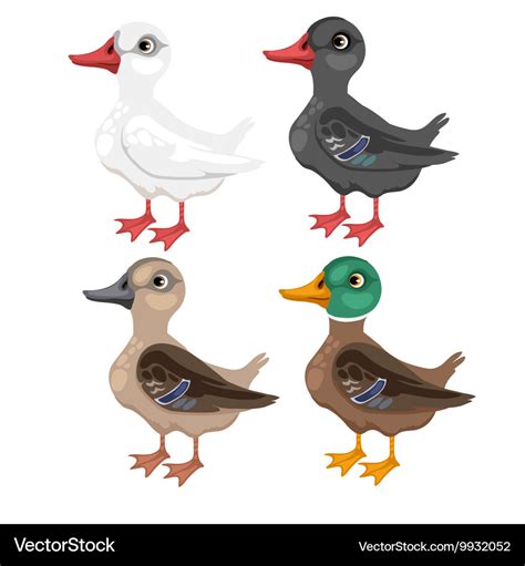 Four cartoon duck in different colors Royalty Free Vector