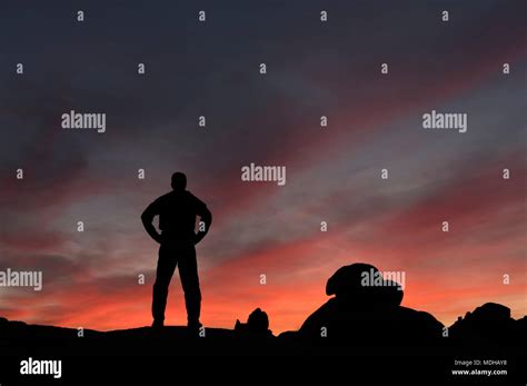 Silueta De Un Hombre Viendo La Puesta De Sol Fotograf As E Im Genes De