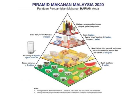 Hidup Adalah Pilihan Piramid Makanan Di Malaysia Riset