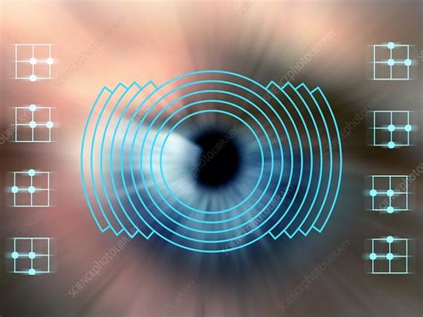 Biometric eye scan - Stock Image - C019/7145 - Science Photo Library