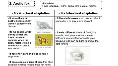 SCIENCE Grade 4 Types Of Adaptations 1 Unit 1 Concept 1