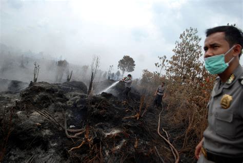 Indonesia Forest Fire Haze Pollution May Have Caused 100 000 Early Deaths