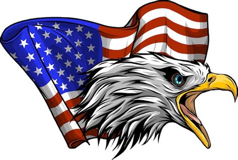 American Bald Eagle Clipart Hd Png American Eagle Flag Png Usa Png Eagle Fly Usa Flag Vector