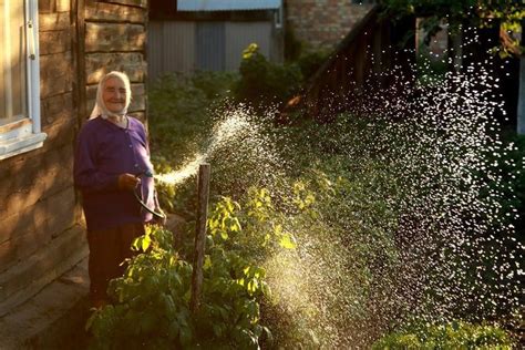 Lamus Dworski Life In The Countryside Of Podlasie Region In